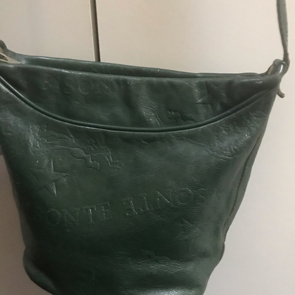 Bisonte handbag green color,
